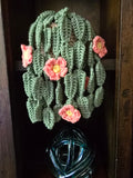 Crocheted potted cactus flower