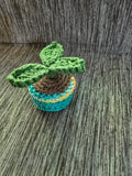 Mini potted plant