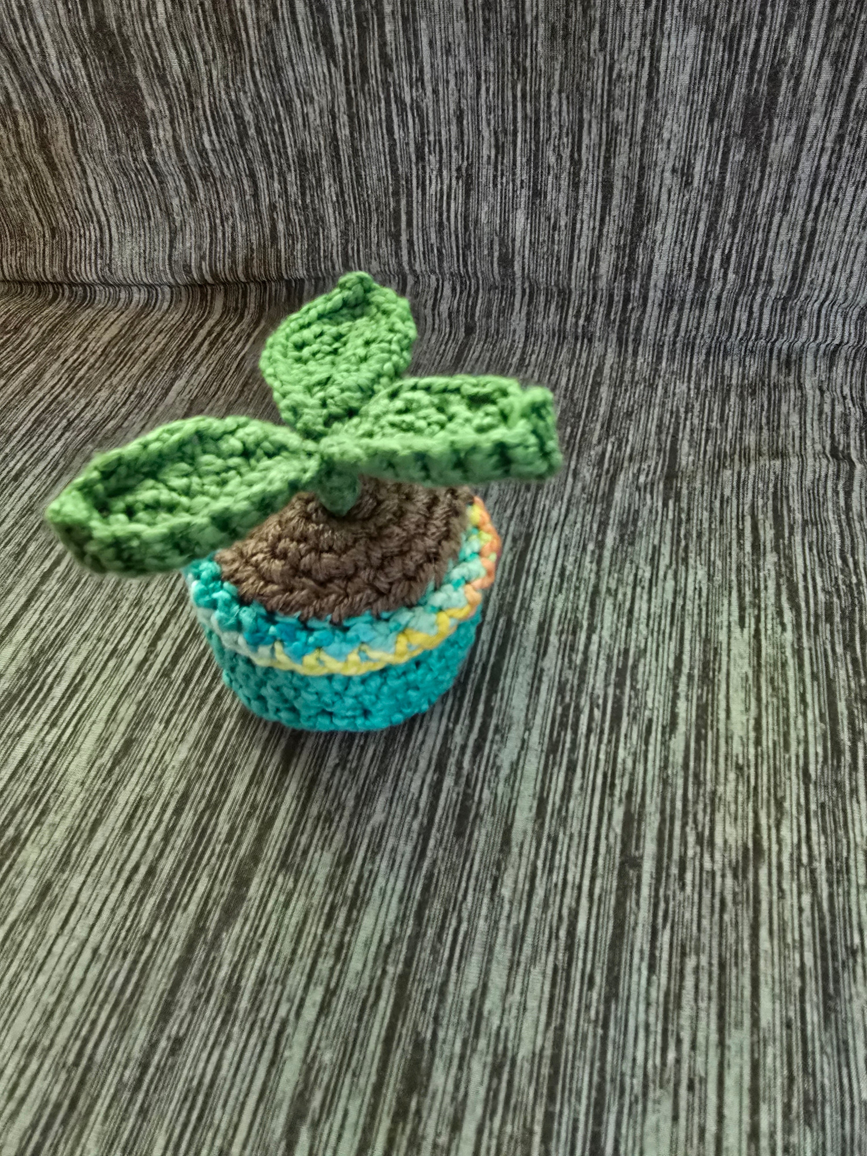 Mini potted plant
